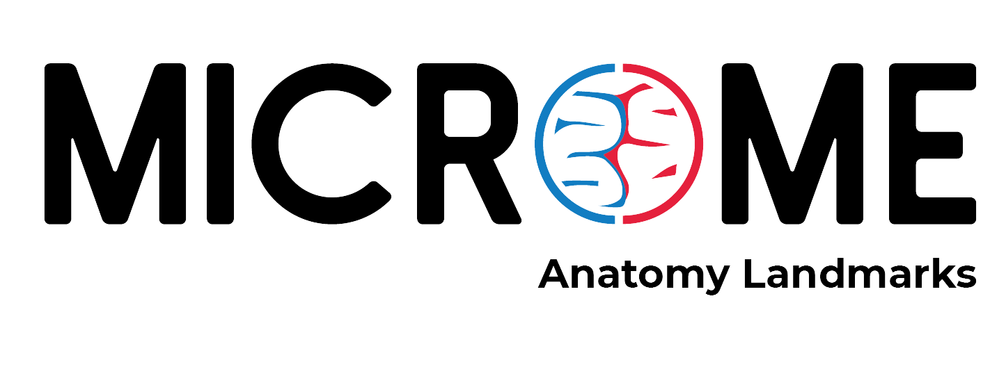 MICROME Logo